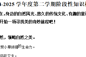 2024-2025学年江苏省徐州市睢宁县统编版二年级下册期中考试语文试卷（含解析）