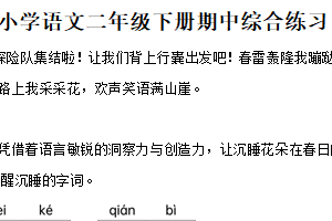2024-2025学年江苏省徐州市云龙区统编版二年级下册期中考试语文试卷（含解析）