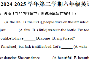 2024-2025学年江苏省南京市六合区译林版（三起）（2012）六年级下册期中测试英语试卷（含解析）