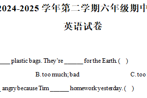 2024-2025学年江苏省南通市译林版（三起）六年级下册4月期中测试英语试卷（含解析）