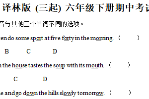 2024-2025学年江苏省宿迁市沭阳县第一实验小学译林版（三起）六年级下册期中考试英语试卷（含解析）