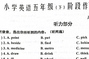 江苏省泰州市兴化市2024-2025学年五年级下学期期中英语试题（含答案）