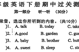 江苏省连云港市灌南县实验小学2024-2025学年三年级下学期期中英语试题（含答案）