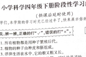 江苏省徐州市泉山区2024-2025学年四年级下学期4月期中科学试卷（无答案）