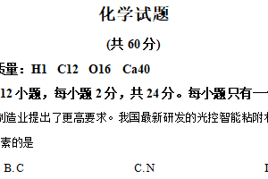 2025年江苏省连云港市中考化学真题（含解析）