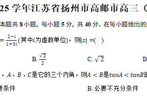 2024-2025学年江苏省扬州市高邮高三（下）学情调研数学试卷（含答案）