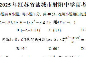 2025年江苏省盐城市射阳中学高考数学模拟试卷（含答案）
