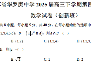 江苏省常州市华罗庚中学2024-2025学年高三（下）第四次阶段检测数学试卷（创新班）（含答案）