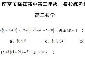 江苏省南京市临江高级中学2024-2025学年高三下学期一模拉练考试数学试题（无答案）