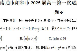 江苏省南通市如皋市2025届高三第一次适应性考试（1.5模）数学试题（含解析）