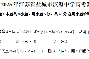 江苏省盐城市滨海中学2024-2025学年高三下学期4月调研数学试题（含解析）