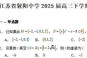江苏省盐城市射阳中学2025届高三下学期全真模拟4 数学试题（含答案）