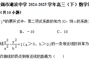 江苏无锡市湖滨中学2024-2025学年高三（下）数学第1周阶段性训练模拟练习（含解析）