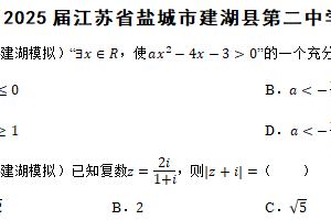 2025届江苏省盐城市建湖县第二中学高三三模数学试题（含解析）