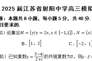 2025届江苏省盐城市射阳中学高三模拟预测数学试题（含解析）
