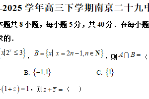江苏省南京市第二十九中学2024-2025学年高三下学期期初考试数学试卷（含解析）