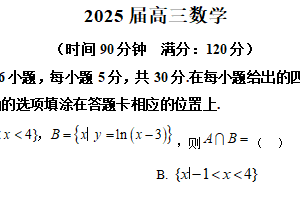 江苏省南京市第十三中学2024-2025学年高三下学期5月检测数学试题（含解析）
