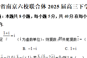 江苏省南京市六校联合体2024-2025学年高三下学期2月学情调研测试数学试卷（含解析）
