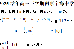 江苏省南京市宁海中学2024-2025学年高三下学期一模模拟数学试题（含解析）