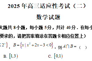 江苏省南通市如皋中学2025届高三下学期适应性考试（二）数学试卷（含解析）