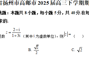 江苏省扬州市高邮市2024-2025学年高三下学期期初学情调研测试数学试题（含解析）