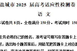 2025届江苏省盐城市高三第一次高考适应性检测语文试题（含解析）