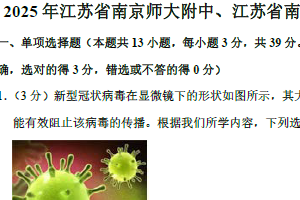 2025届江苏省南京师大附中、江苏南京外国语学校高三下学期物理模拟试卷（含解析）