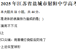 2025届江苏省盐城市射阳中学高三下学期模拟物理试卷（含解析）
