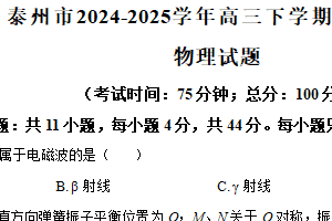 江苏省泰州市2024-2025学年高三下学期开学考试物理试题（含答案）