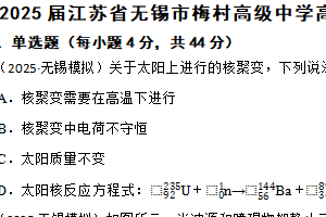 2025届江苏省无锡市梅村高级中学高三下学期二模模拟物理试卷（含解析）