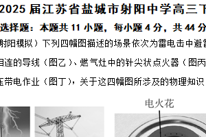 2025届江苏省盐城市射阳中学高三下学期三模物理试题（含解析）