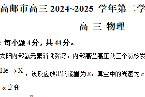 江苏省扬州市高邮市2024-2025学年高三下学期第一次联考物理试卷（含解析）