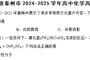 江苏省泰州市2024-2025学年高中化学高三考前指导卷（含解析）