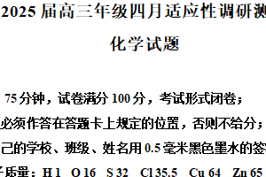 江苏省泰州市海陵区民兴实验中学2025届高三下学期三模化学试题（含解析）