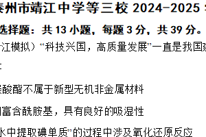 江苏省泰州市靖江中学等三校2024-2025学年高三下学期联考化学试题（含解析）