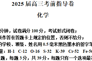 江苏省盐城市2024-2025学年高三化学考前指导卷（含解析）