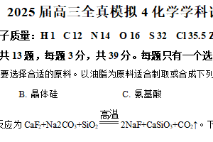 江苏省盐城市射阳中学2025届高三下学期三模化学试题（含解析）