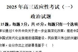 2025届江苏省宿迁市泗阳县高三下学期第一次适应性考试政治试卷（含解析）