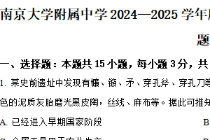 江苏省南京大学附属中学2024-2025学年高三下学期4月月考历史试题（含解析）