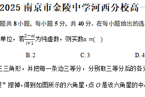 江苏省南京市金陵中学河西分校2024-2025学年高一下学期数学期末模拟卷（含解析）