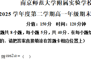 江苏省南京师范大学附属实验学校2024-2025学年高一下学期期末考试数学试卷（含解析）