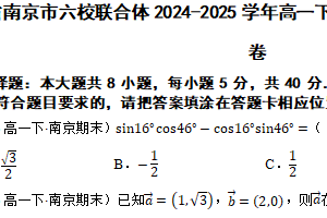 江苏省南京市六校联合体2024-2025学年高一下学期6月期末调研测试数学试卷（含解析）