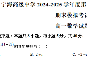 江苏省徐州市睢宁县宁海高级中学2024-2025学年高一下学期6月质量检测暨期末模拟考试数学试题（含解析）