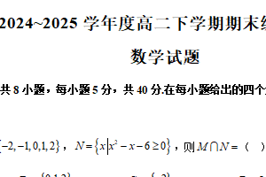 江苏省徐州市第一中学2024-2025学年度高二下学期期末复习综合练数学试题（含解析）
