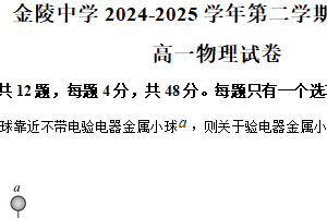 江苏省南京市金陵中学2024-2025学年高一下学期期末物理试题（含解析）