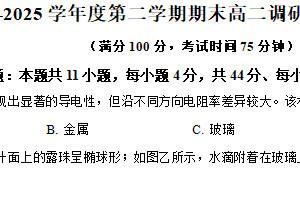 江苏省淮安市2024-2025学年高二下学期期末调研测试物理试题（含解析）