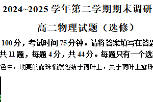 江苏省连云港市2024-2025学年高二下学期期末调研考试物理试题（选修）（含解析）
