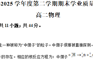 江苏省南京市文枢高级中学2024-2025学年高二下学期6月期末物理试题（含解析）