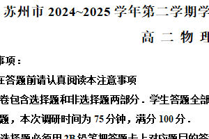江苏省苏州市2024-2025学年高二下学期期末学业质量阳光指标调研物理试卷（含解析）