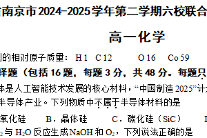 江苏省南京市六校联合体2024-2025学年高一下学期6月期末调研测试化学试卷（含答案）
